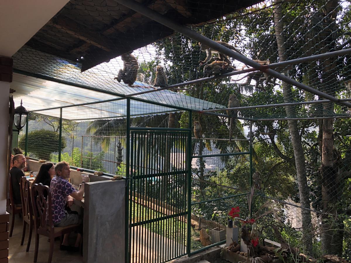 Udawatta Kele Villa Kandy Exterior photo